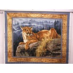Mountain Lion